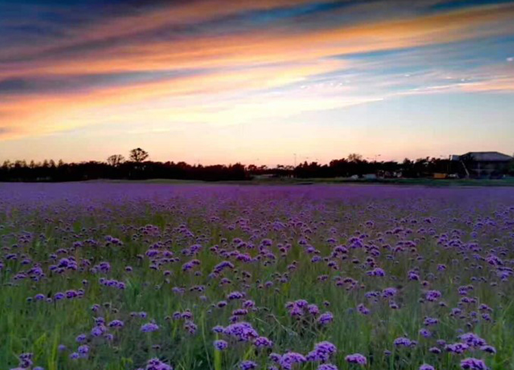 上海拓展基地-云水居木屋